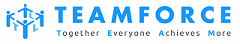 Teamforce Labour Ltd